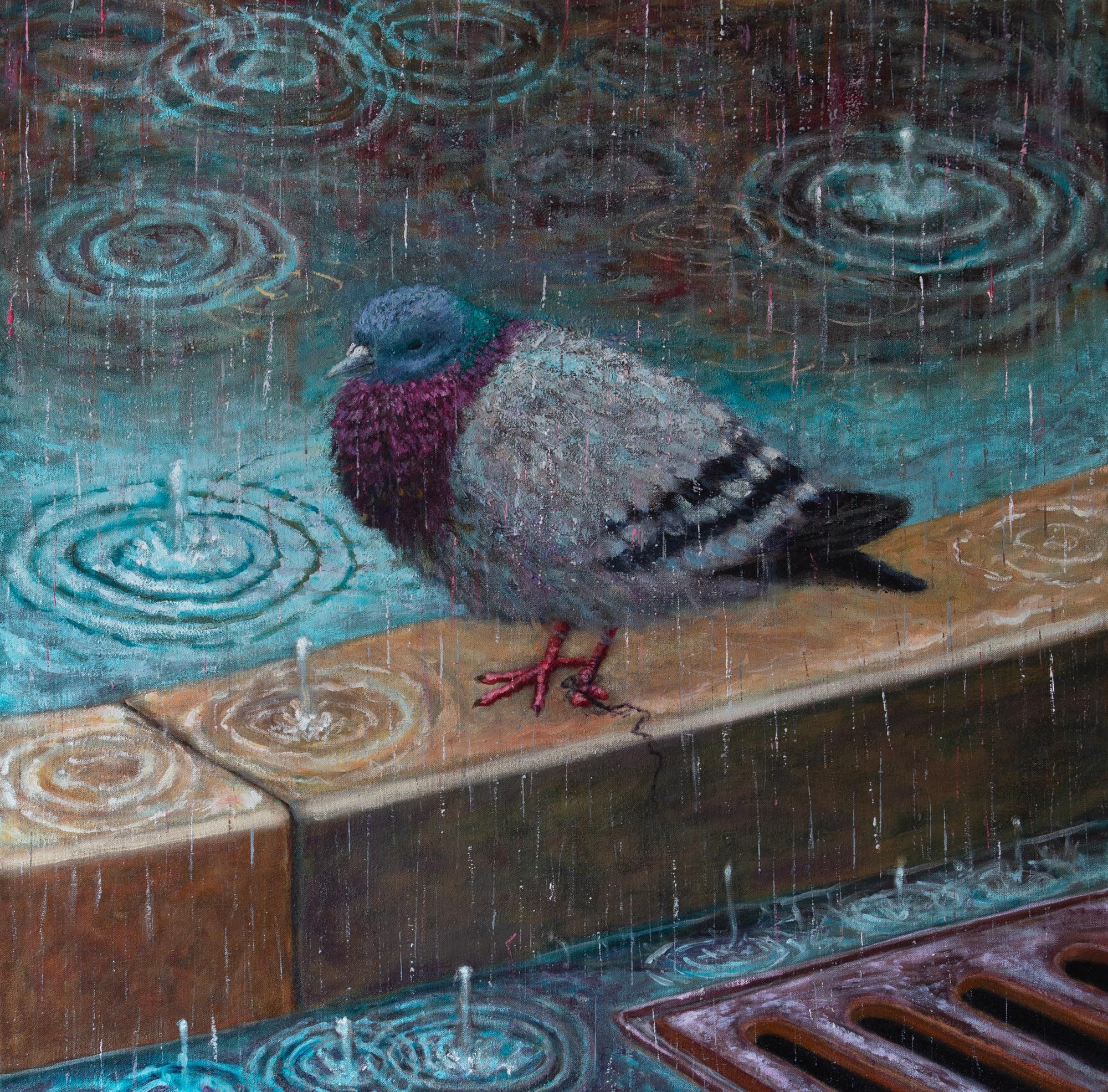 Limping pigeon in rain